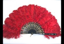 Feather Fan