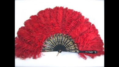 Feather Fan