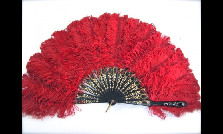 Feather Fan