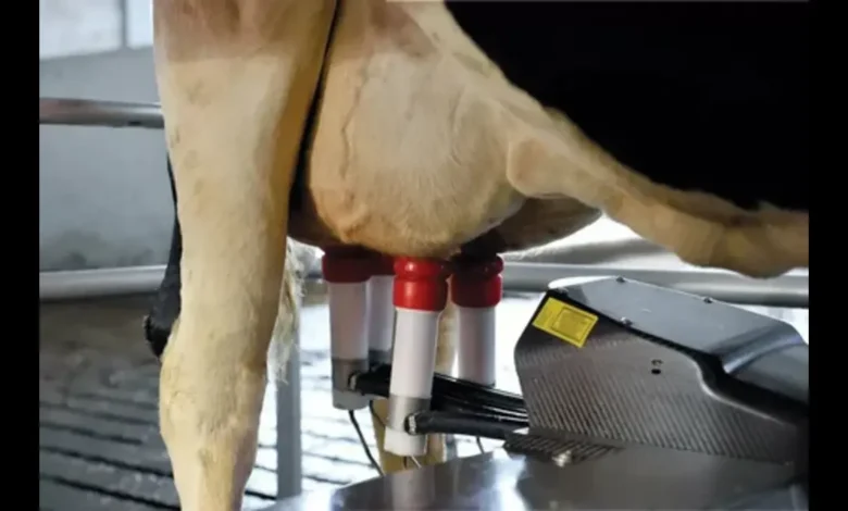 Udder Tech