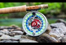 Nautilus Reels