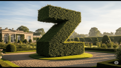 Z Hedge