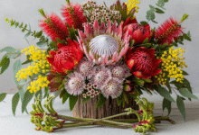 Australian Flowers