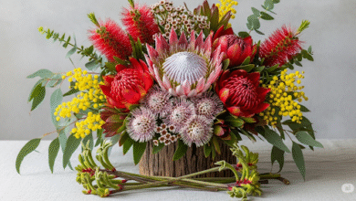 Australian Flowers