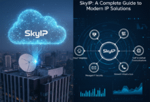 (SkyIP: